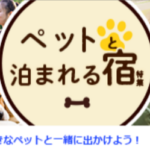 宿-ホテル予約-旅行ならじゃらんnet-02-12-2026_11_14_PM 1